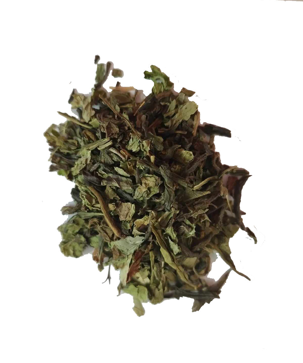 Fraîcheur Méditerranée - Thé vert, Menthe douce